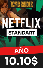 Netflix Standart